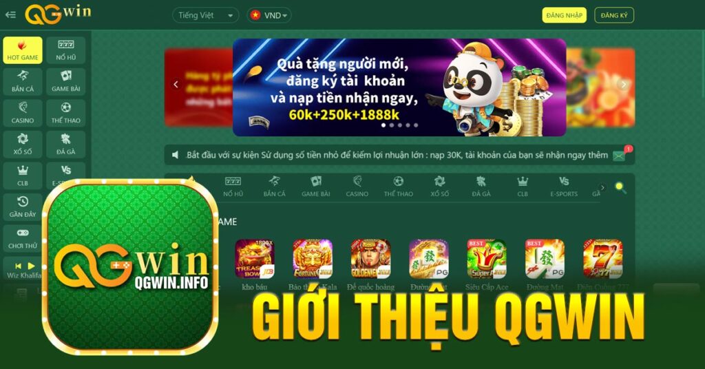 Giới thiệu QGWIN