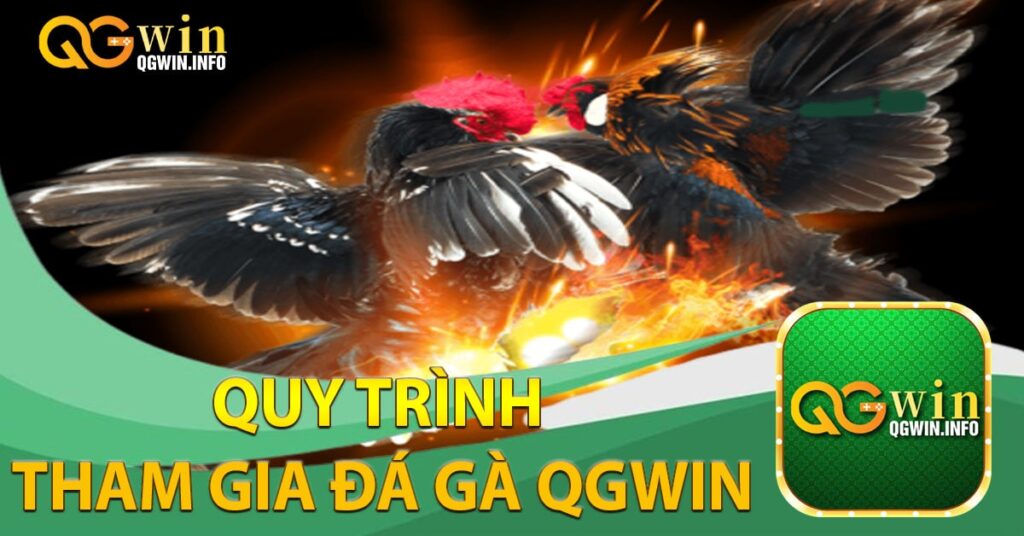 Quy trình tham gia đá gà Qgwin